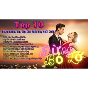Tuyển Tập Nhạc Rumba Cha Cha Cha Buồn Hay Nhất 2026 10 Ca Khúc Thất Tình Nghe Là Khóc