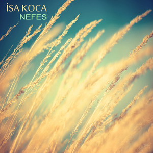 Nefes