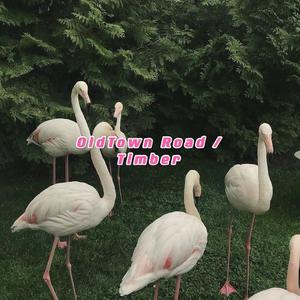 Lil Nas X-Old Town Road / Timber(2021)（张鹤方 / 9DIUZ / SKGYR remix）