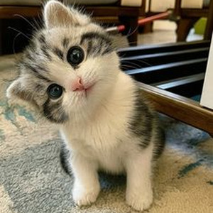 I Need a Girl (slowed)