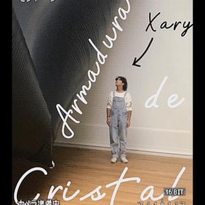 Armadura de cristal
