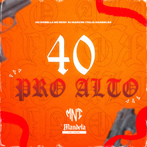 40 pro Alto