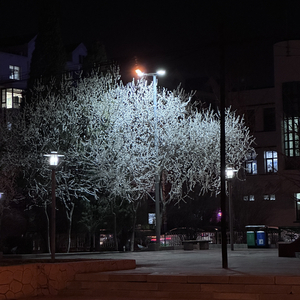 《量子纠缠》二创版