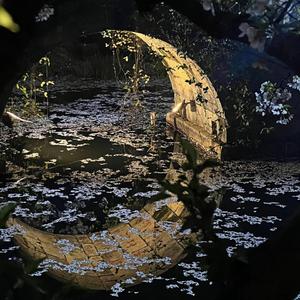 再睡五分钟（古筝）