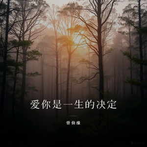 爱你是一生的决定