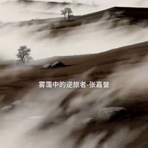 雾霭中的逆旅者