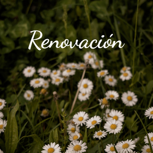 Renovación