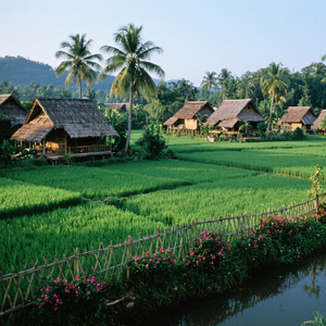 边境小夜曲（民谣版）