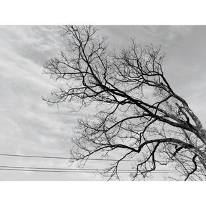 回环心绪.round and round