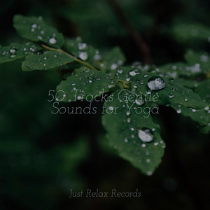 Compassion's Resonance