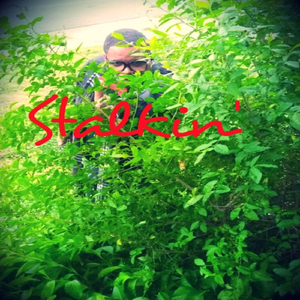Stalkin'