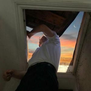 这只伶俐的棕色狐狸跳过一只懒惰的狗