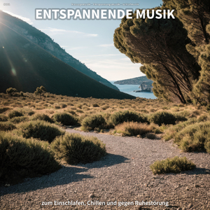 Klangfarben für Hunde