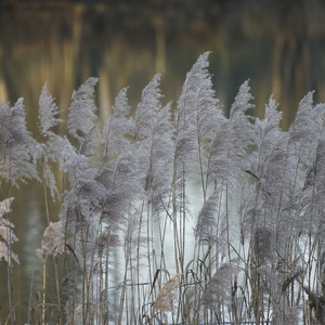 Free Beat 感心动耳