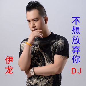 不想放弃你dj