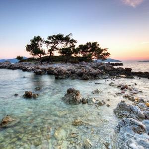 在这浪漫绽放的世界