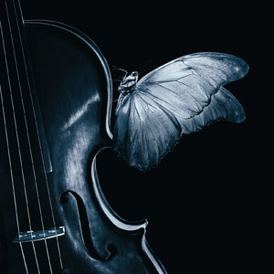 黒猫 ～Adult Black Cat～ (Cover)