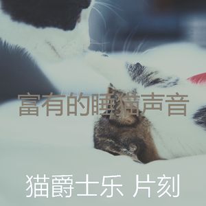 温和睡猫梦想