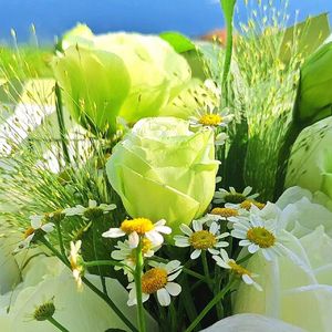 墨雨江南 大理篇