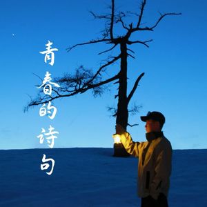青春的诗句
