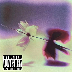 [Free]"候鸟" GALI x ASEN x Drake x SZA Type Beat