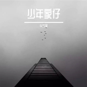 少年家仔 （DJ版）