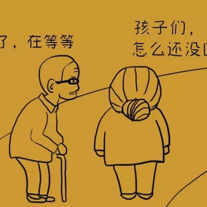 锦衣飞鱼（翻自 伦桑）