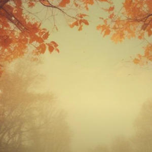 あの日の色褪せた写真A