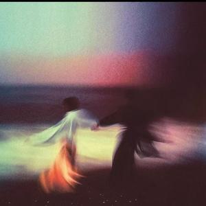 want you want 鹭卓