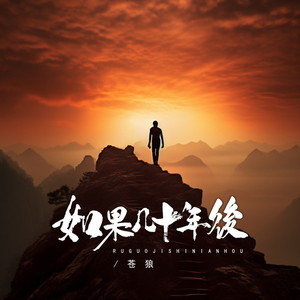 如果几十年后 (DJBanan版)