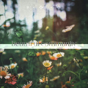 beautiful community ✧･ﾟ: *✧･ﾟ:*
