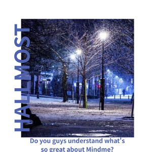 Do You Guys Understand What's so Great About Mindme?