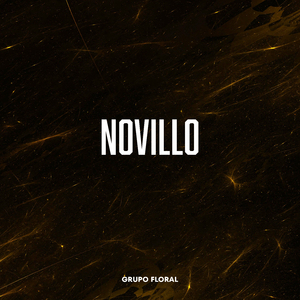 Novillo