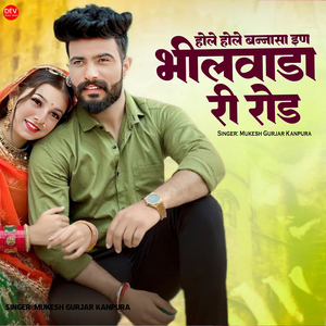 Hole Hole Bannasa En Bhilwada Ri Road