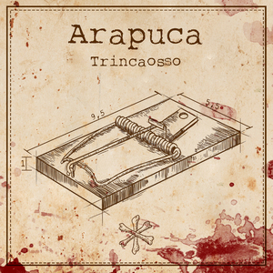 Arapuca