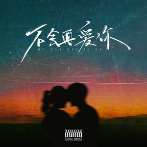 不会再爱你