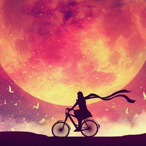 我知道你一定会爱上星际