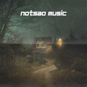 rave (slowed + reverb)