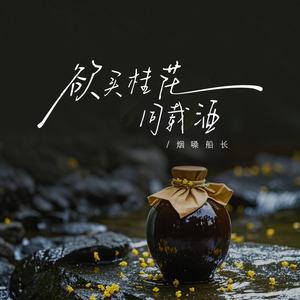 欲买桂花同载酒