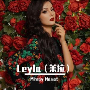 Leyla（莱拉）