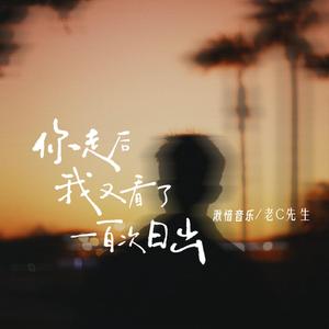 你走后我又看了一百次日出