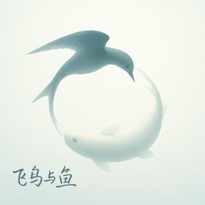 飞鸟与鱼 (游鱼版)