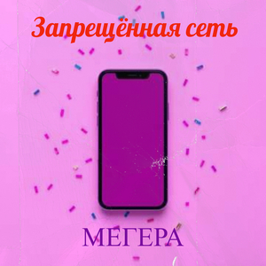 Запрещённая сеть