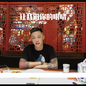 让我做你的眼睛