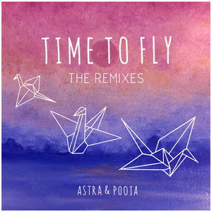 Time to Fly (STRX Remix)