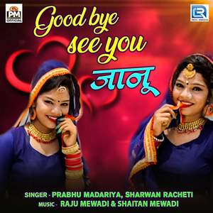 Good Bye See You Janu