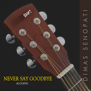 Never Say Goodbye (Acoustic)