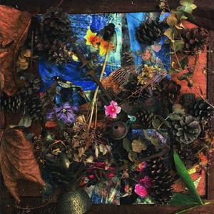 Eucalypse Part 5 (Another Mix)