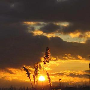 你未提及我也知