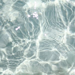 Saltwater Dream